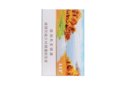 驰香烟价格解析，品质与价值的完美平衡