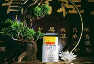 哪些属于进口香烟品牌-进口烟哪种比较好